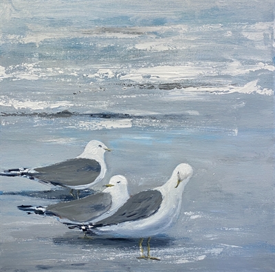 Mågerne på stranden - Gitte Toft